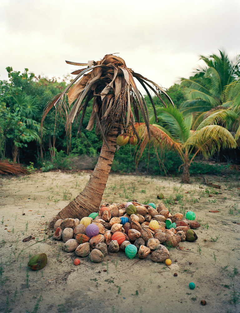 940203-On-The-Shores-Of-A-Pristine-Wilderness-Is-The-Saddest-Art-You-Will-Ever-See.03